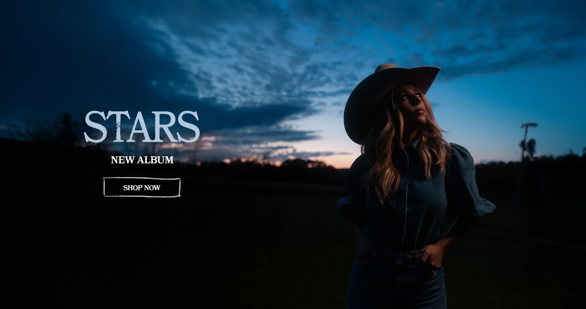 Shop Official Anne Wilson Gear